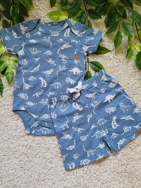 Baby Boy Dinosaur Outfit (6-9 Months)